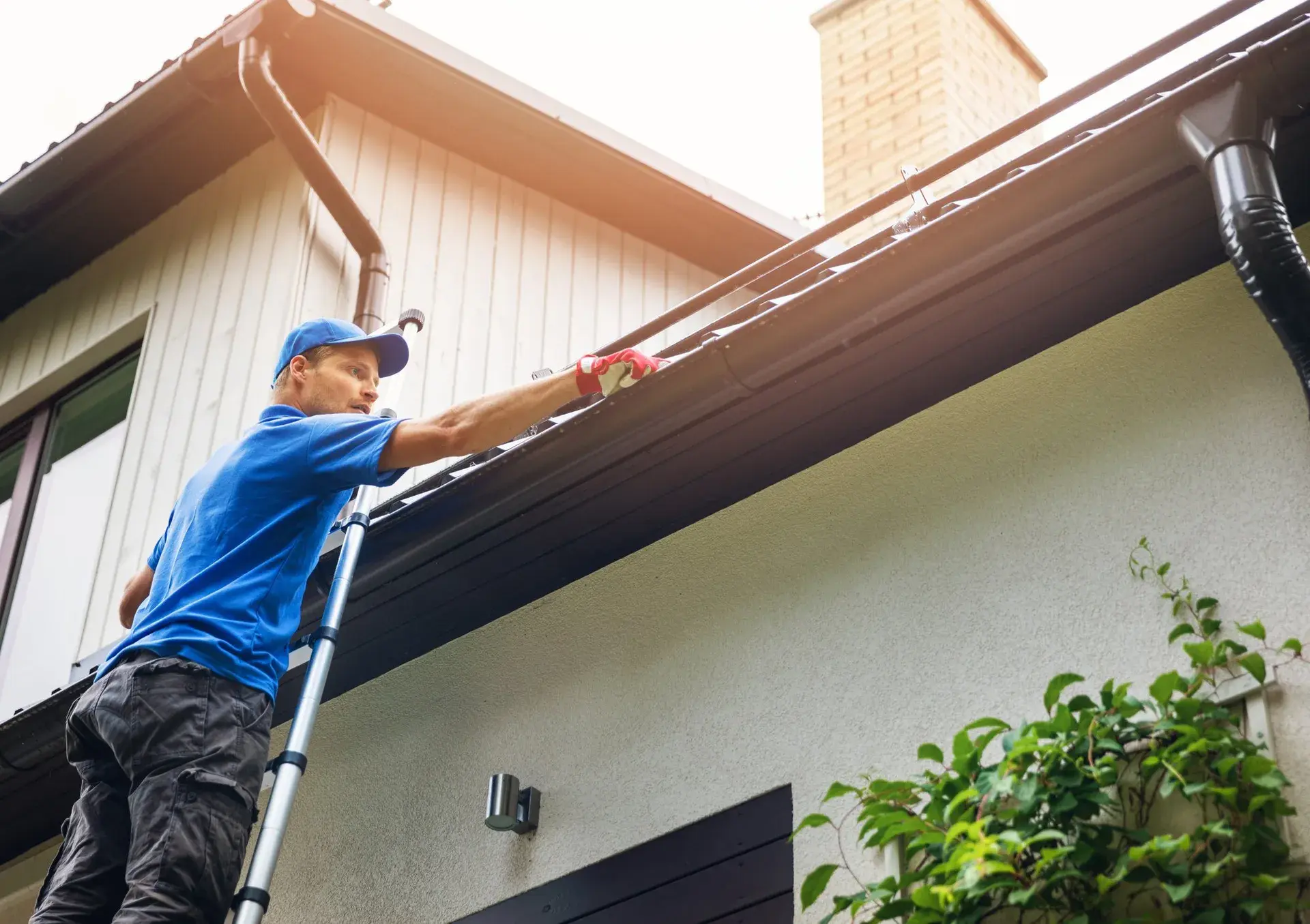 Tree Service